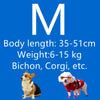 Ein Hund neben Text, der Körperlänge und Gewicht für Bichon, Corgi usw. beschreibt.