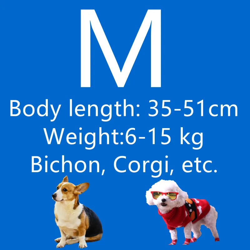 Ein Hund neben Text, der Körperlänge und Gewicht für Bichon, Corgi usw. beschreibt.