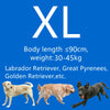 Grafik mit der Größe XL für Hunde, mit Silhouetten verschiedener Retriever-Rassen.