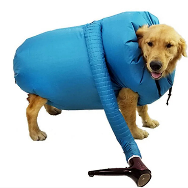 Ein Golden Retriever befindet sich in einer blauen Stoffpflegetasche zum Trocknen oder Pflegen des Haares.