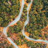 Luftaufnahme einer kurvigen Asphaltstraße, die durch eine dichte Waldlandschaft führt.