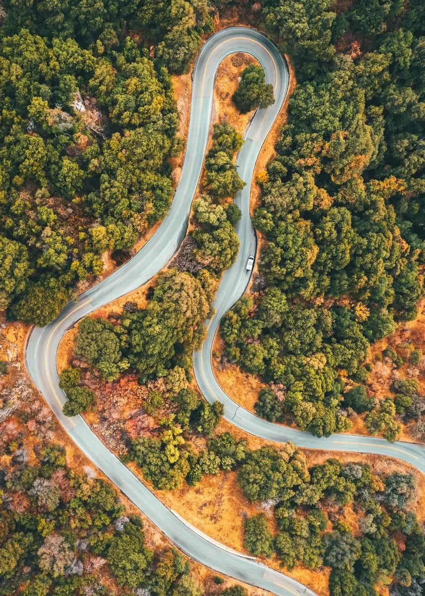Luftaufnahme einer kurvigen Asphaltstraße, die durch eine dichte Waldlandschaft führt.