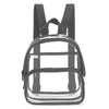 A transparent PVC daypack with black straps and a clear front panel.
