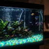 A glass aquarium filled with water and various tropical fish swimming above colorful glow-in-the-dark solar pebbles on the bo