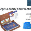 Brown leather passport holder displaying various documents including a passport, SIM card, and credit card.
