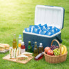 A white ice pack container filled with blue ice packs, surrounded by fresh food items on green grass.