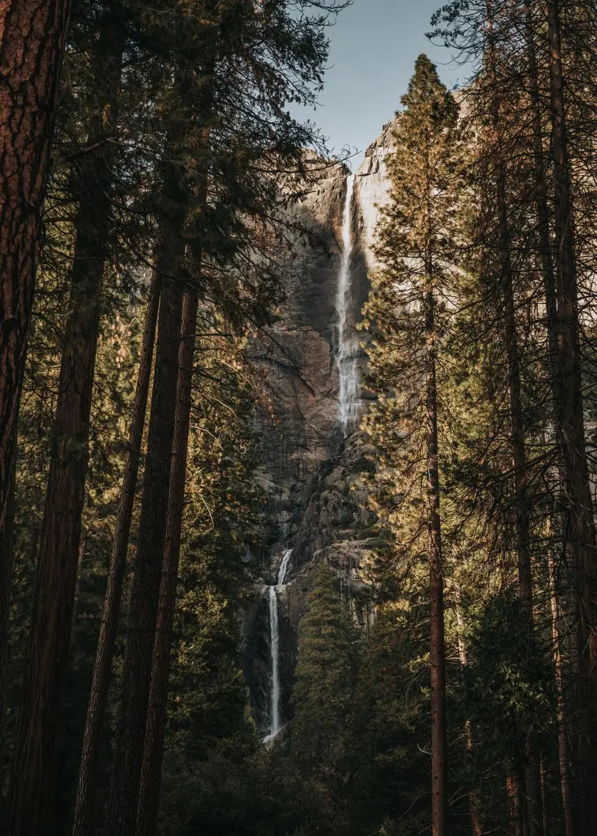 Ein hoher Wasserfall stürzt über eine Klippe, umgeben von dichtem Nadelwald.