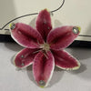 A realistic pink and magenta orchid flower is displayed against a light background.