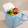 Bolsa térmica acolchada azul claro llena de fruta fresca y hielo
