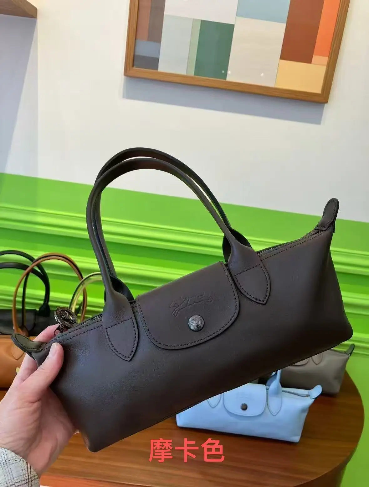 A brown storage shoulder bag is held by a hand, displayed against a white wall with a green stripe and other bags.