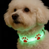 A white dog wearing a glowing green pet collar with a paw print design.