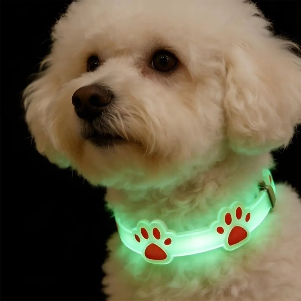 A white dog wearing a glowing green pet collar with a paw print design.