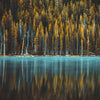 Spiegelung eines Herbstwaldes auf ruhigem Wasser, mit hohen Bäumen und Bergen in der Oberfläche.