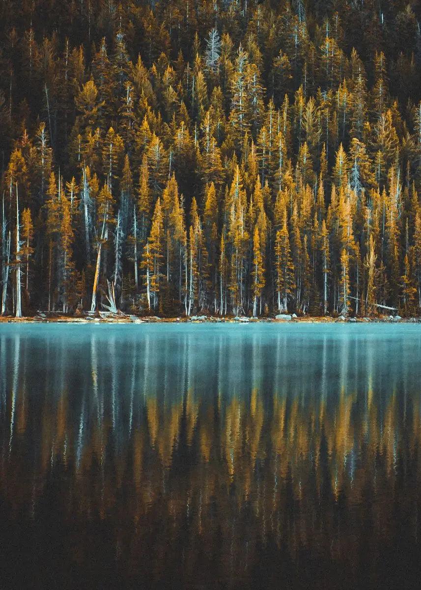 Spiegelung eines Herbstwaldes auf ruhigem Wasser, mit hohen Bäumen und Bergen in der Oberfläche.