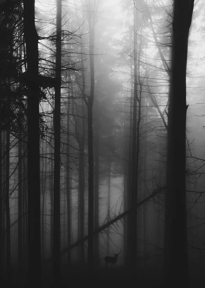 Dunkle Waldszene mit hohen, kahlen Bäumen, verschleiert in dichtem Nebel.