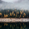 Nebelverhangenes Bergpanorama mit dichtem Wald aus Nadel- und Laubbaum, reflektiert im ruhigen Wasser.