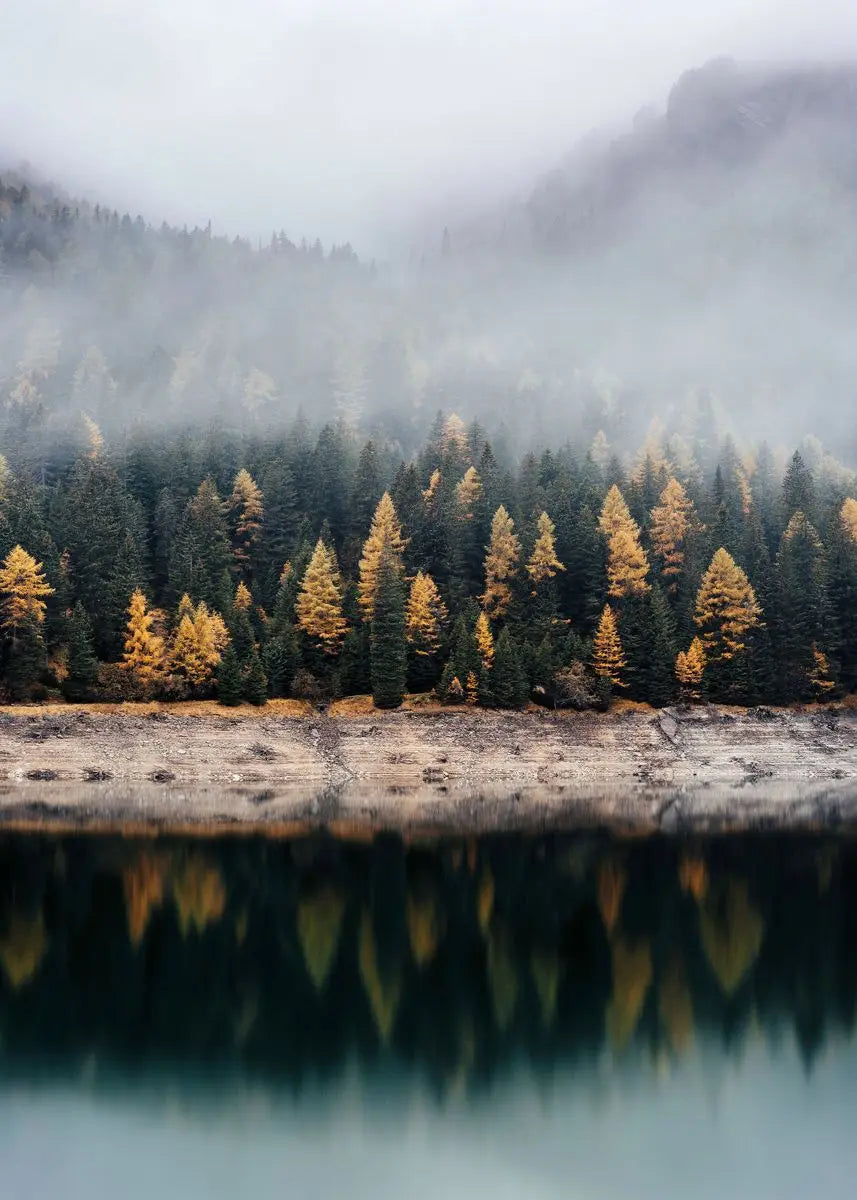 Nebelverhangenes Bergpanorama mit dichtem Wald aus Nadel- und Laubbaum, reflektiert im ruhigen Wasser.