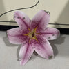 A realistic pink orchid flower is displayed, featuring purple markings and metal findings for a keychain.