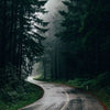 Eine kurvige, nasse Asphaltstraße schlängelt sich durch einen dichten Wald, umhüllt von atmosphärischem Nebel.