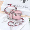 A pink leather coin purse with a silver chain and lanyard is displayed on a map background.