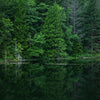 Ein dichter Wald spiegelt sich in ruhigem Wasser unter einem dunklen, stimmungsvollen Himmel.