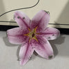 A realistic pink orchid flower shaped keychain with purple and yellow markings.